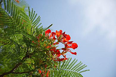 免费动作游戏《猎人竞技场：革命》公布 7月18日开启CBT测试